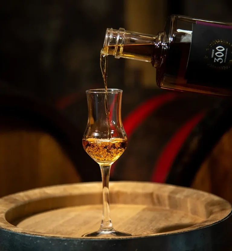 čaša-i-flaša-Šljiva Moravka